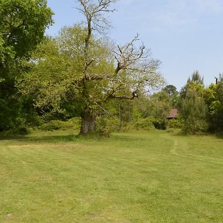 La Du Bucheron דירה Laharie